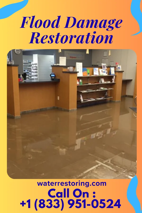 Flood Damage Restoration in McLeod, TX