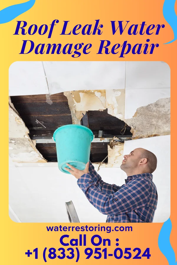 Roof Leak Water Damage Repair in McLeod, TX
