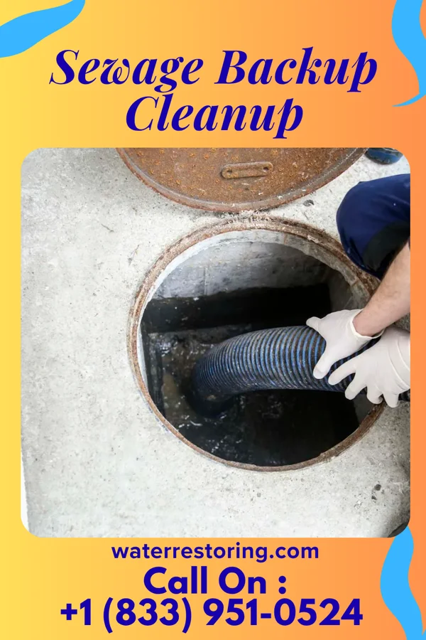 Sewage Backup Cleanup in McLeod, TX