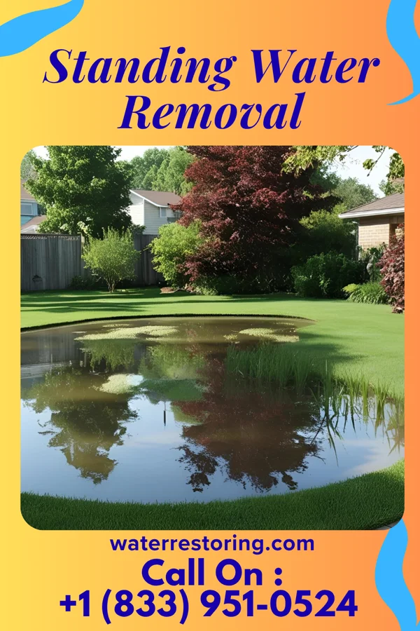 Standing Water Removal in McLeod, TX